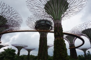 The otherworldly gardens by the bay.